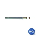 Fischer Tassello Mit Schraube Nylon Grau N-S Vorfixiert 8x100 E-100 mm 100x