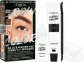 L'ORÉAL PARIS Augenbrauenpflege BROW COLOR