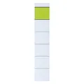 Biella Rückenschild schmal/kurz 30 x 190 mm (B x H) weiss/grün 10 St./Pack. (11358744)