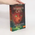 Warrior Cats. In die Wildnis  |  Erin Hunter