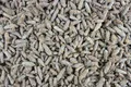 1000Kräuter Kiefernsprossen ganz Kiefernknospen Kräutertee Tee 100 g