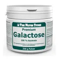 Galactose 100% rein Pulver Inhalt: 250 g