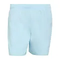 adidas Men's Swim Shorts 5 INCH, Icey Blue/White, M
