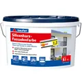 Fassadenfarbe Premium Baufan 5L weiß Silikonharz Schutz Abperleffekt (9,99€/1l)