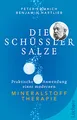 Die Schüßler-Salze: Praktische Anwendung einer modernen Mineralstoff-Therapie