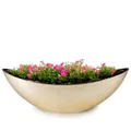 matches21 HOME & HOBBY Ovale Pflanzschale für draußen - große Schiff Deko-Schale in Champagner beige als Blumen-Topf Pflanztopf - 55 cm Jardiniere für Garten Balkon oder Friedhof als Grab-Schmuck