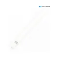 Apple PENCIL 1ST GEN_2022 + Defekt (286957)