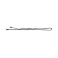 TB TOOLS FOR BEAUTY LUSSONI 250 Stück Waved Hair Grips Haarnadeln, Gewellte Haarklammern (6 cm, Silber)