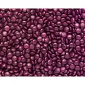 3 Kg Haribo Viola Box Lakritz