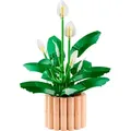 LEGO Botanicals Friedenslilie 11504