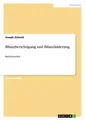 Bilanzberichtigung und Bilanzänderung: Bachelorarbeit, Joseph Schmid