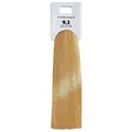 Alcina Color Gloss + Care Emulsion 9.3 Lichtblond-Gold 100 ml