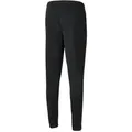 Puma teamRise Poly Training Pants - schwarz