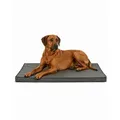 lionto Hundematte orthopädisch, druckentlastende Memory-Foam Liegefläche, rutschfeste Unterseite & abnehmbarer Bezug, 100x70 cm, grau