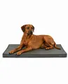 lionto Tierkissen orthopädisch, druckentlastend, Lederimitat, Memory-Foam-Liegefläche, rutschfeste Unterseite & abnehmbarer Bezug