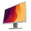 EIZO EV2336W 23 Zoll A-Ware 1920x1080 Full HD DVI DisplayPort Grau Monitor Bilds
