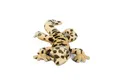 Teddys Rothenburg Kuscheltier Kuscheltier Kronengecko braun 33 cm Plüschgecko
