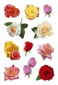 HERMA Etikett Herma 3308 3308 Sticker DECOR Rosenblüten