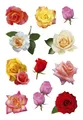 Herma 3308 3308 Sticker DECOR Rosenblüten
