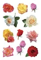 HERMA Sticker DECOR "Rosenblüten bunt" 3 Blatt à 11 Sticker