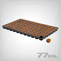 Eazy Plug Anzuchtplatte 77 Stk - Stecklinge/Samen pH 5,8 organisch hohe Keimrate