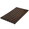 Eazy Plug `n Grow Stecktray 3,6 x 3,6 cm 77 Stk.
