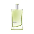 Jil Sander Evergreen femme/woman Eau de Toilette, Vaporisateur/Spray, 50 ml