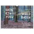Shinrin yoku - Waldbaden 2026 (Wandkalender 2026 DIN A3 quer) CALVENDO Monatskalender von Calvendo/ Irma van der Wiel www.kalender-atelier.de / Calven