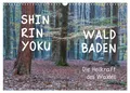 Shinrin yoku - Waldbaden 2026 (Wandkalender 2026 DIN A3 quer), CALVENDO...