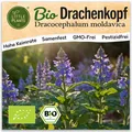 Drachenkopf Samen (BIO) - 80 Samen Kräutersamen Drachenkopfsamen