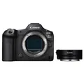 Canon EOS R5 Mark II + Objektivadapter EF-EOS R (ohne Steuerungsring)