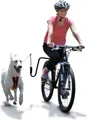 SPRINGER Fahrradhalter für Hunde