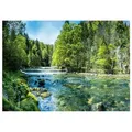 Wallarena Fototapete, Mehrfarbig, Papier, Baum/Pflanze/Natur, Rechteckig, 350x250 cm, FSC 100%, Tapeten & Wandverkleidungen, Fototapeten