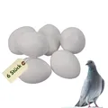 6x Legeeier Kunsteier Nesteier für Hühner Gipseier für Tauben Bruteier Künstliche Eier Taubeneier 15gr 40x30 mm