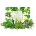 BIO Kräutersamen Set - Küchenkräuter Anzuchtset aus biologischem Anbau ideal für den heimischen Kräutergarten, Balkon & Garten