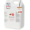 BIODELTA LTK-008 Anti Bettwanzen Mittel 5 Liter - Anti Bettwanzen mit Langzeitwirkung - hochwirksames Mittel - vorbeugend & bei akutem Befall - auf Wasserbasis - Wanzen Spray