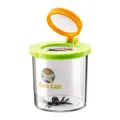 Terra Kids Becherlupe – NaturforscherSet für Kinder ab 4 Jahren mit 2 Lupen &...