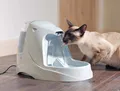 PetSafe Haustierbrunnen Drinkwell® - Platin   Hund Katze Trinkbrunnen Trinknapf