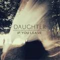Daughter If You Leave (Schallplatte) 12" Album