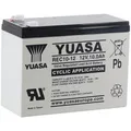 Yuasa AGM-Batterie REC10-12, 12 V, 10 Ah, Faston 6,3 mm Anschluss