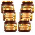 6x 340ml Garnier Wahre Schätze Argan Der wunderbare Nährer Tiefenpflege Maske