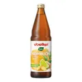 Kombucha - Limette & Ingwer 750ml inkl. 15 Cent Pfand | VOELKEL