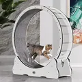 CanadianCat Company | Katzenlaufrad aus Holz - CatInMotion - Spiel- & Traininggerät für Katzen | Bausatz Weiß - L Ø100cm | 110 x 36,5 x 115 cm