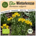 Winterkresse Samen (BIO) - 1000 Samen Kräutersamen Winterkressesamen