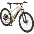 PROPHETE E-Bike Alu-E-MTB 29,0 Zoll DICE 2.0