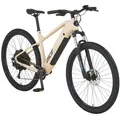 Prophete DICE 2.0 E-MTB 29" – Enovation Hinterradmotor 48V, 250W, 46Nm, Shimano Alivio 9-Gang Kettenschaltung, 130 km Reichweite - Beige