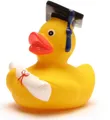 lustige Akademiker Badeente mit Diplom - Quietscheentchen mit Doktorhut - Geschenk bei Prüfungen Abschlussfeier Uni Universität Hochschule