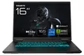 GAMING A16 3THK3DE894SH (schwarz, AMD Ryzen 7 260, NVIDIA GeForce RTX 5050, 16 GB DDR5, 1 TB (1 TB SSD), Windows 11 Home)