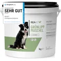 TESTURTEIL SEHR GUT 2026 ReaVET Grünlippmuschel Extrakt Pulver 1kg für Hunde & Pferde I Grünlippmuschelpulver Hund hochdosiert I nach behandelter Arthrose, Arthritis - Barf Futterzusatz