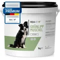 REAVET Grünlippmuschel Pulver Extrakt 1kg für Hunde Katzen Pferde
